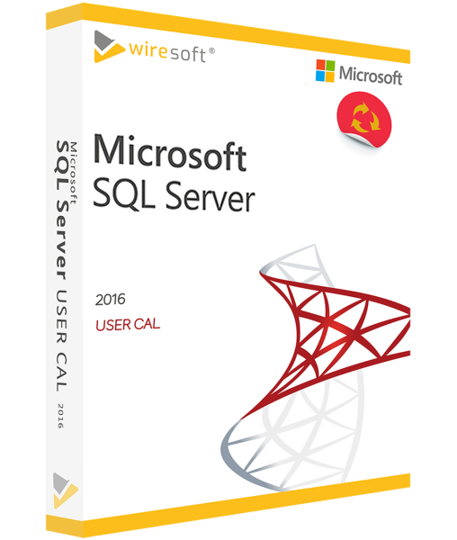 MICROSOFT SQL SERVER 2016 NAUDOTOJO KAL