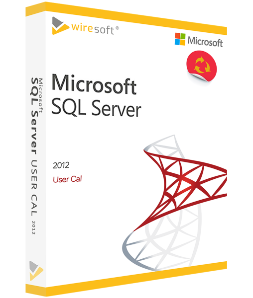 MICROSOFT SQL SERVER 2012 VARTOTOJO KAL