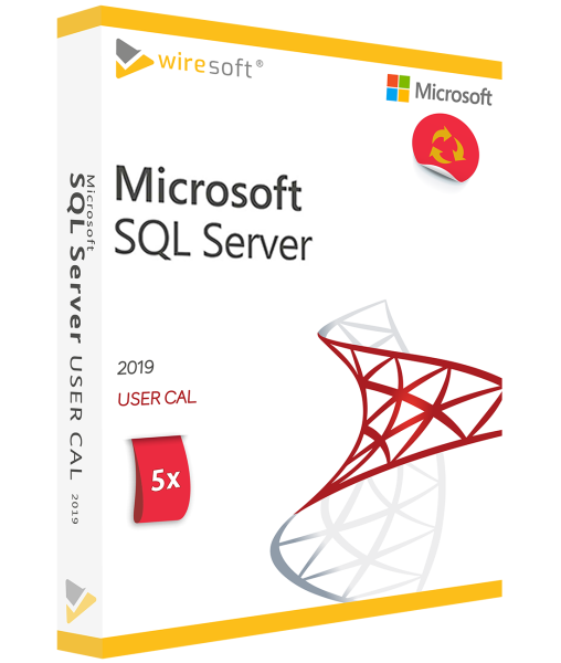 MICROSOFT SQL SERVER 2019 - 5 PAKUOČIŲ USER CAL