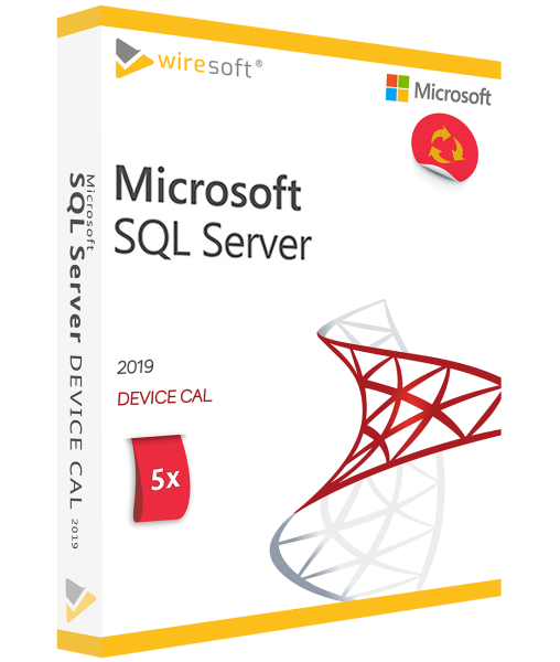 MICROSOFT SQL SERVER 2019 - 5 PAKUOČIŲ ĮRENGINYS CAL