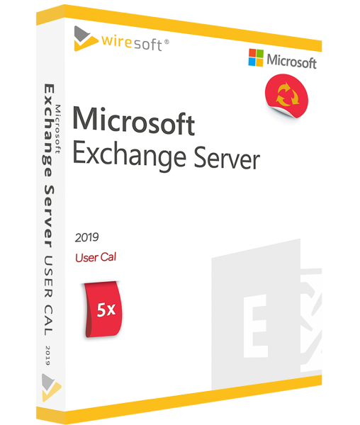 MICROSOFT EXCHANGE SERVER 2019 - 5 PAKUOČIŲ VARTOTOJO CAL