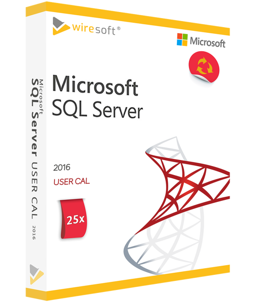 "MICROSOFT SQL SERVER 2016" - 25 PAKUOČIŲ NAUDOTOJŲ CAL
